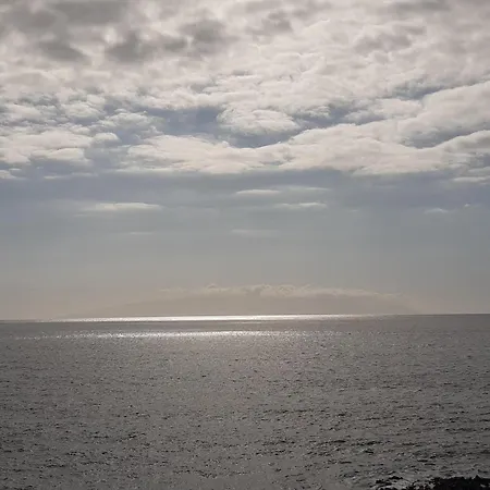 Sunny Dream -